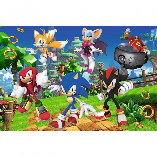 Sestavljanka Sonic in prijatelji 160 kosov
