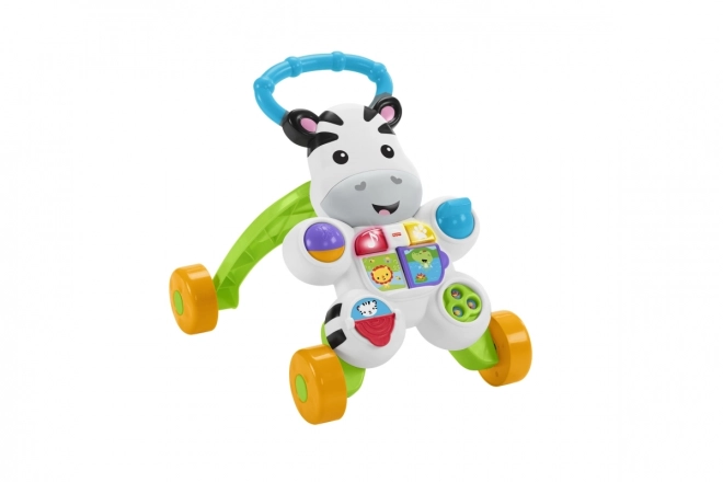 Hojica zebra z zvoki