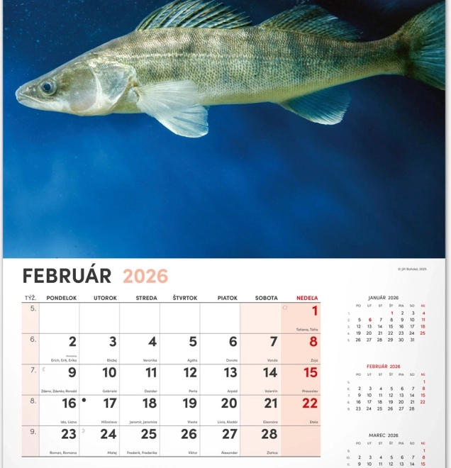 Stenski koledar Ribiški 2026