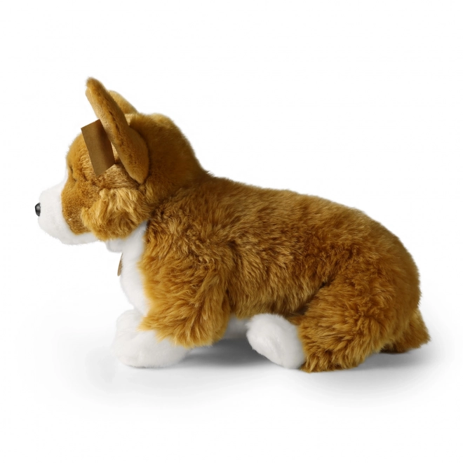Plišasti pes corgi 32 cm iz ekoloških materialov