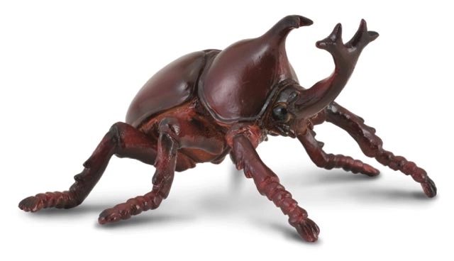 COLLECTA Nosorog kapucinek