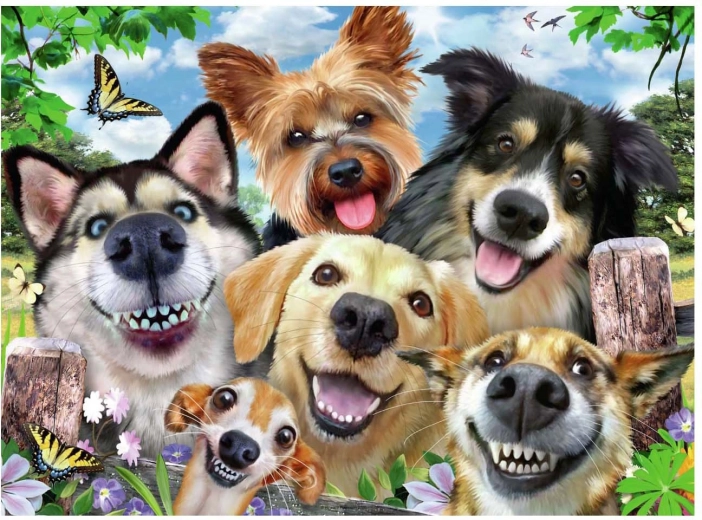 Selfie psov puzzle 500 kosov Ravensburger
