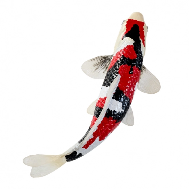 Mojo krap koi showa sanshoku