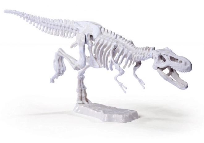 Komplet za izkopavanje in sestavljanje dinozavrskih okostij
