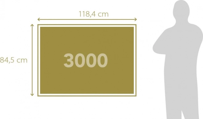 Uganka Zgodba Pariza 3000 delcev