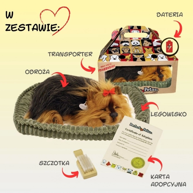Perfektni Petzzz Lačanje mladiča York