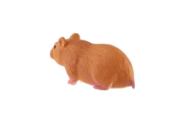 Morski prašiček domači zooted 6cm v vrečki