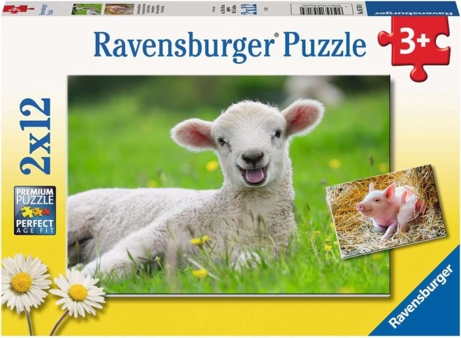 Ravensburger puzzle domače živali 2×12 koščkov