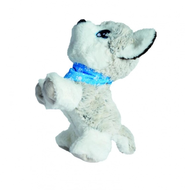 Simba Chi Chi Love interaktivni kuža Husky