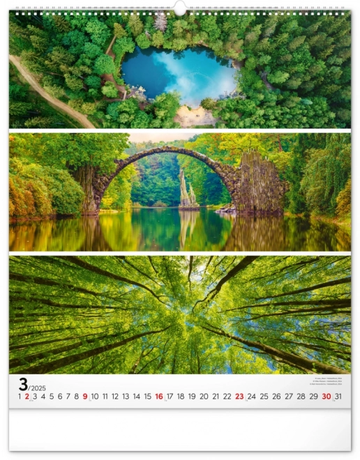 NOTIQUE Stenski koledar Paleta 2025, 48 x 56 cm