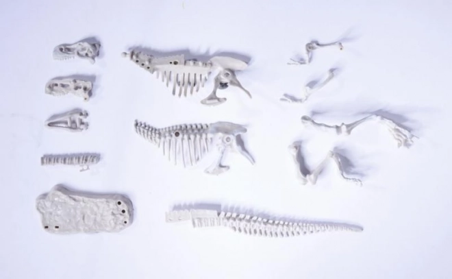 Komplet za izkopavanje in sestavljanje dinozavrskih okostij