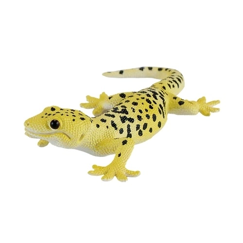 Mojo Leopardji gecko