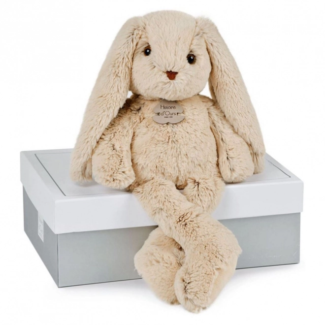 Doudou Zgodba o Medvedu Plišasti prijatelj bež zajček 40 cm