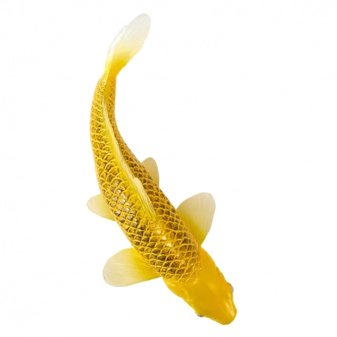 Mojo krap koi Matsuba