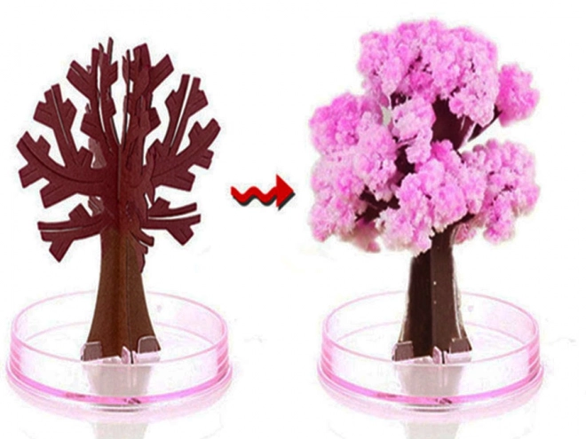 Čarobno drevo Sakura