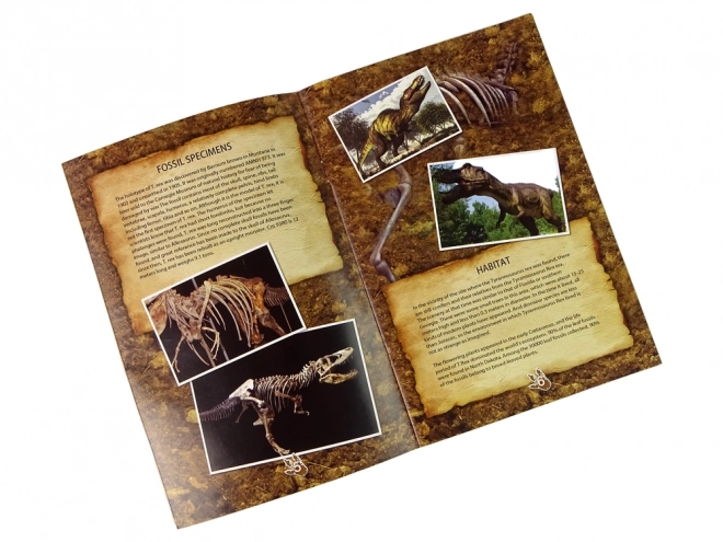 Izobraževalni komplet izkopanine DINOSAURUS TYRANOSAURUS
