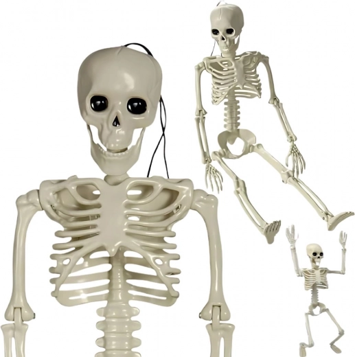 viseča plastična okostnjaka 40 cm – halloween dekoracija