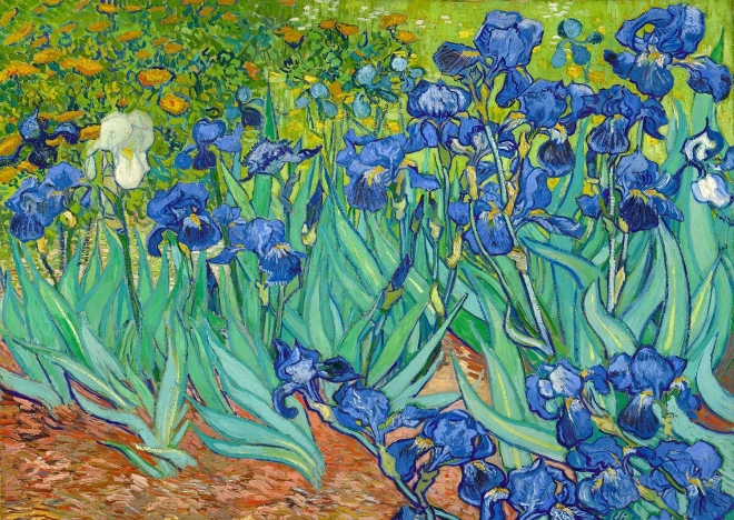 Sestavljanka Irisi od Vincenta van Gogha 1000 kosov