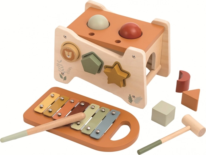 Multifunkcijsko zabijanje s ksilofonom 2Kids Toys