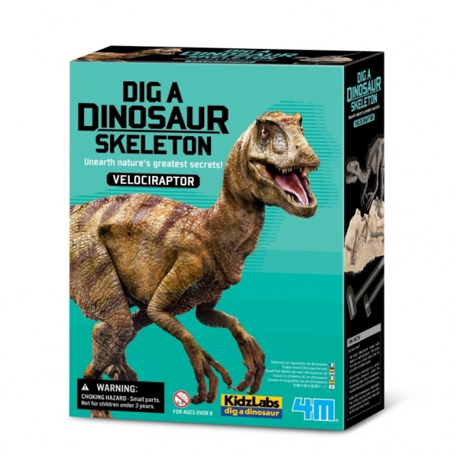 Izkopavalni komplet - Velociraptor