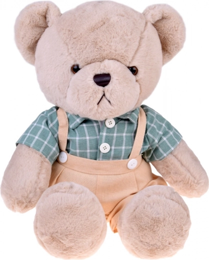 Stajliš srajca v retro karu