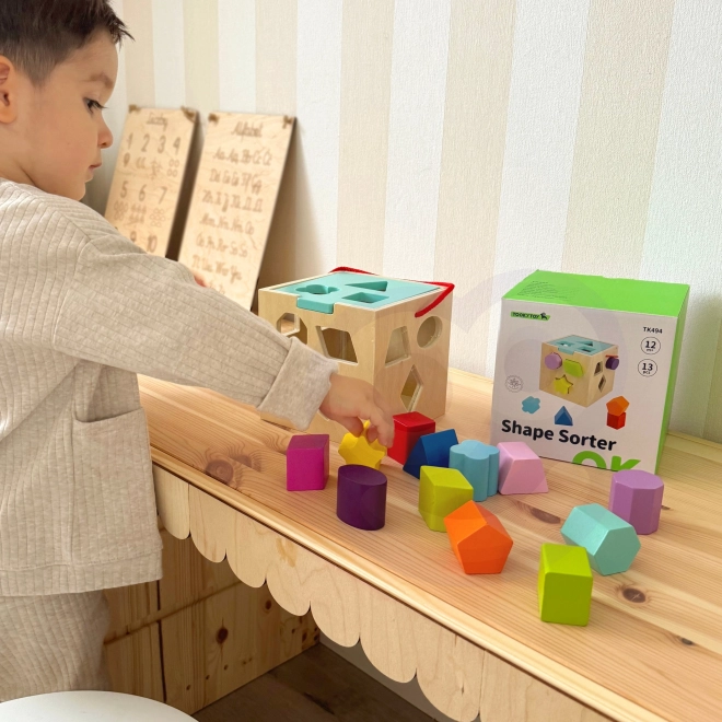 Lesena kocka s oblikami TOOKY TOY