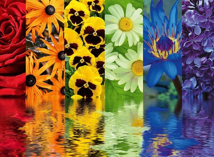 Ravensburger Puzzle Cvetlični vzorci 500 kosov