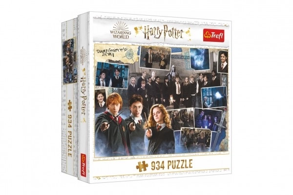 Sestavljanka Harry Potter Dumbledorejeva vojska 934 kosov