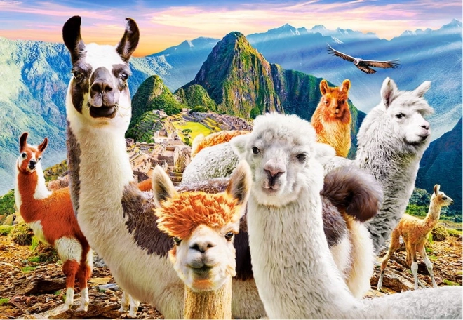 Sestavljanka 1000 kosov Llamas Selfie