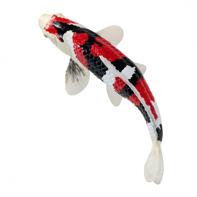 Mojo krap koi showa sanshoku