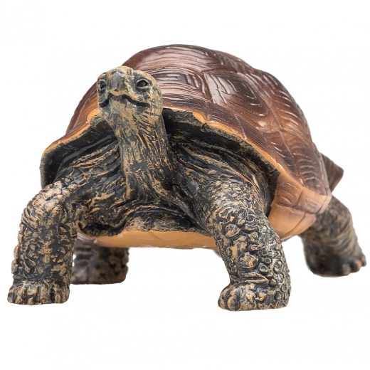 Mojo figurica velikanska želva – realistična živalska figurica