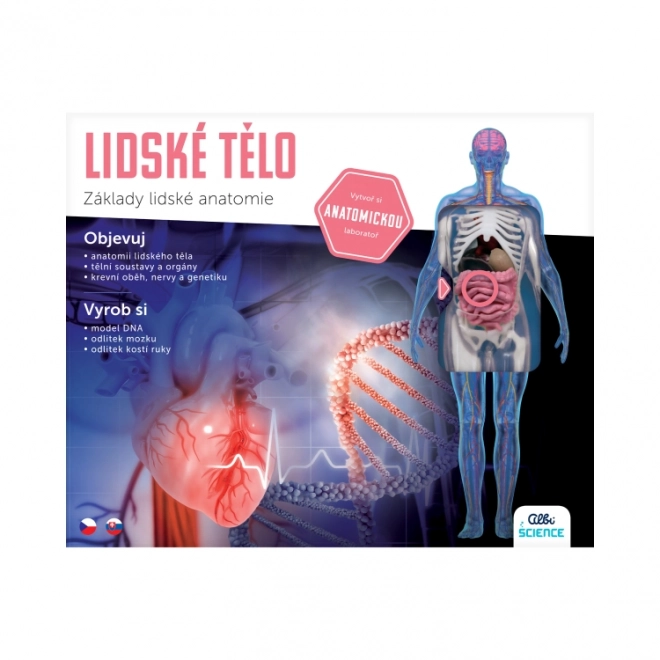 Človeško telo