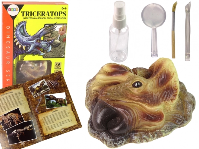 Izobraževalni komplet izkopanin Triceratops
