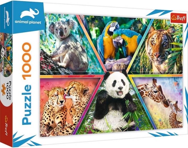 Uradni ANIMAL PLANET