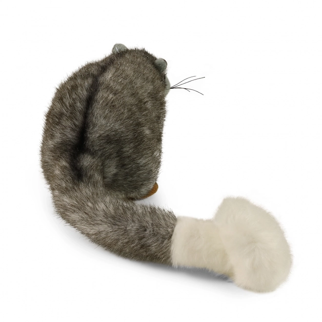 Plišasti possum ekološki