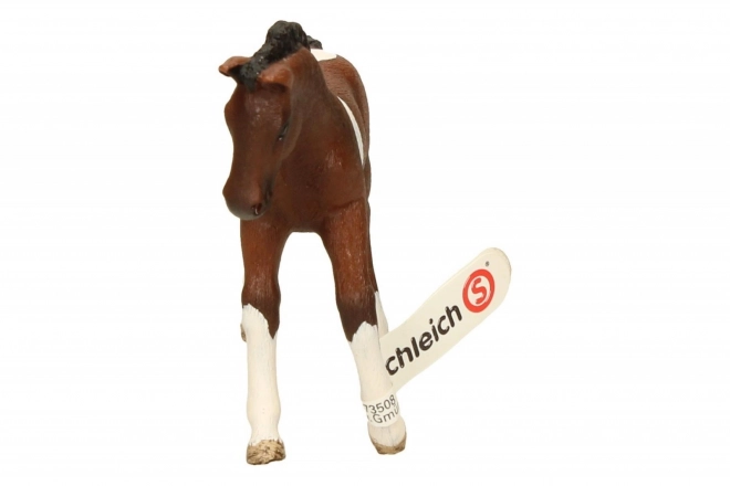 SCHLEICH Konjeniški klub® 13758 Trakenski konj - žrebe