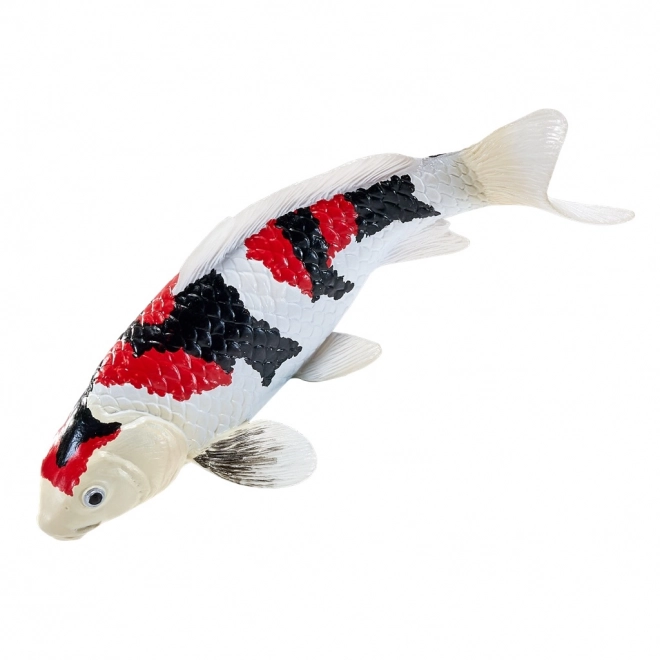 Mojo krap koi showa sanshoku