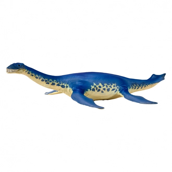 Cryptoclidus figurica xxl