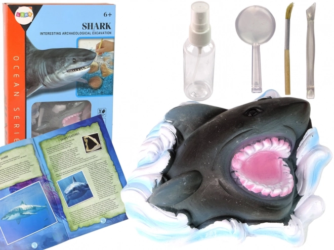Izobraževalni set Raziskovanje oceana - Morski pes in trilobiti