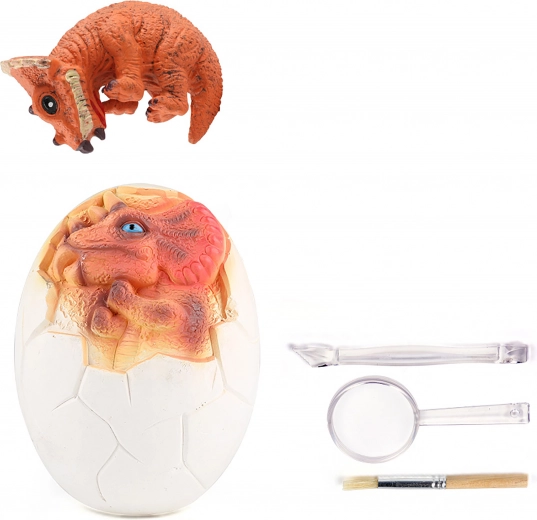 Vse potrebno za male paleontologe