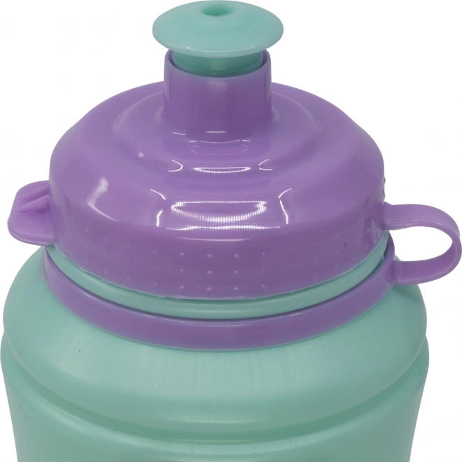 Steklenica za pitje Ledeno kraljestvo 380 ml