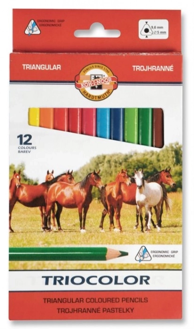 KOH-I-NOOR Tristranske barvice Triocolor 12 kos