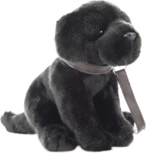 Plišasti labrador z vrvico 30 cm – okolju prijazen