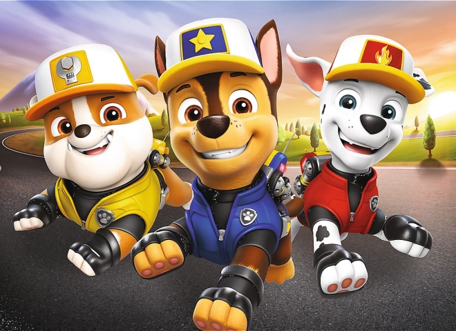 Sestavljanka Paw Patrol miniMAXI 20 kosov