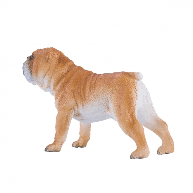 Mojo Angleški buldog