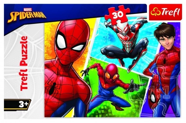 Sestavljanka Spider-Man in Miguel 30 kosov