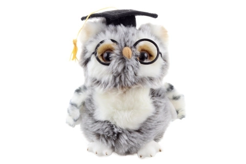 Plišasta sova Diplomant