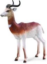 Collecta selitveni albatros – realistična figurica