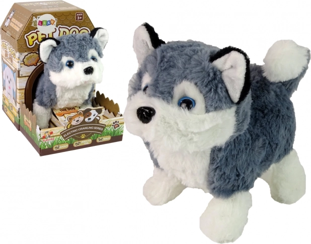 interaktivni plišasti pes husky – hodi, maha z repom in oddaja zvoke