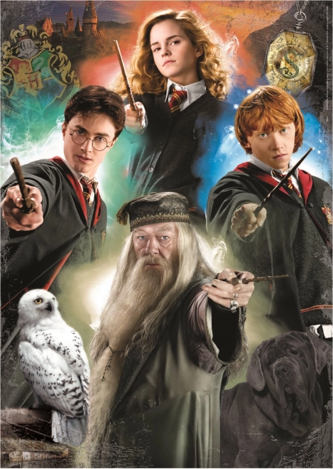 EDUCA Sestavljanka Harry Potter 500 kosov